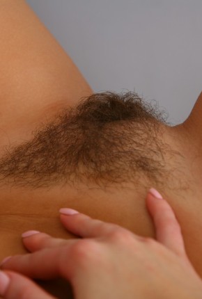 hairy pussy