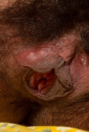 hairy pussy