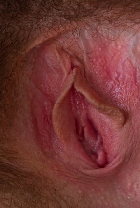 hairy pussy